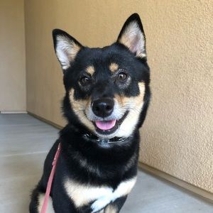 Meet your Posher, C.j.